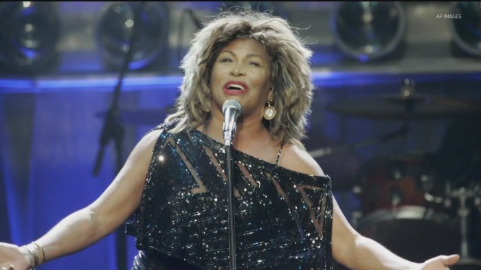 Simply The Best Remembering Tina Turner – The 83 Moments Of My Life - Biography