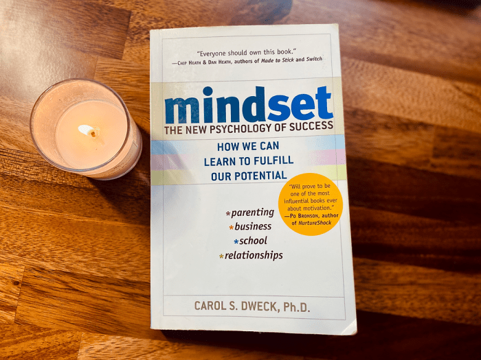 Mindset dweck psychology naïma hassert