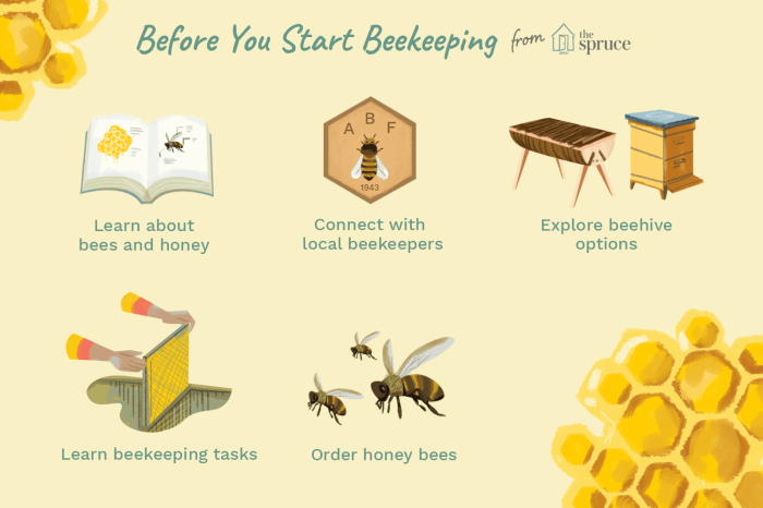 Beekeeping guide beginner beginners