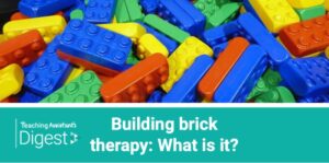 Brick by Brick Becoming a Clinical & Consulting Psychologist