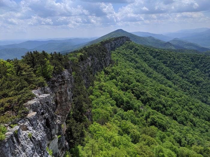 Appalachian seneca appalachia