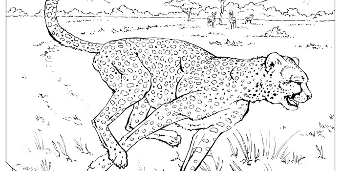 Wild animal coloring animals pages color kids print colouring printable african hellokids animaux picture online