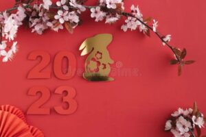 Year of The Rabbit 2023 Weekly Planner Red Cover 2023 2024 Weekly Planner Chinese New Year 2023 Calendar Organizer January 2023 to February 2024 8.5 x 11 Large Print