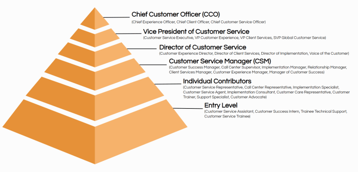 The Chief Customer Officer Playbook 8 Strategies that Will Accelerate Your Career and Win You a Seat at the Executive Table