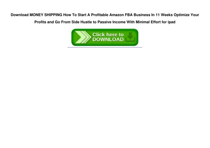 MONEY SHIPPING How To Start A Profitable Amazon FBA Business In 11 Weeks Optimize Your Profits and Go From Side Hustle to Passive Income With Minimal Effort (MONEY MAKING SERIES)