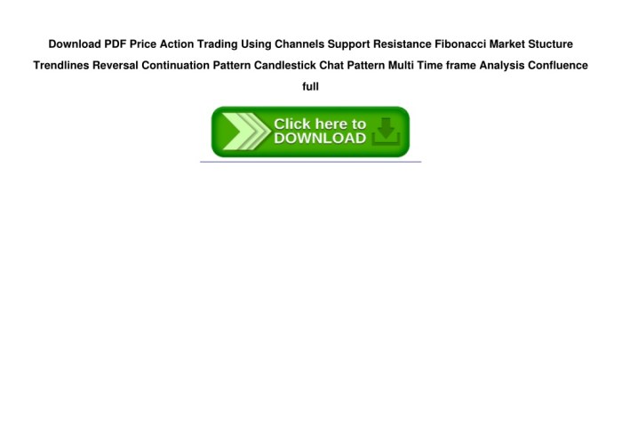 Price Action Trading Using Channels Support & Resistance Fibonacci Market Stucture Trendlines Reversal & Continuation Pattern Candlestick Chat Pattern Multi Time-frame Analysis & Confluence