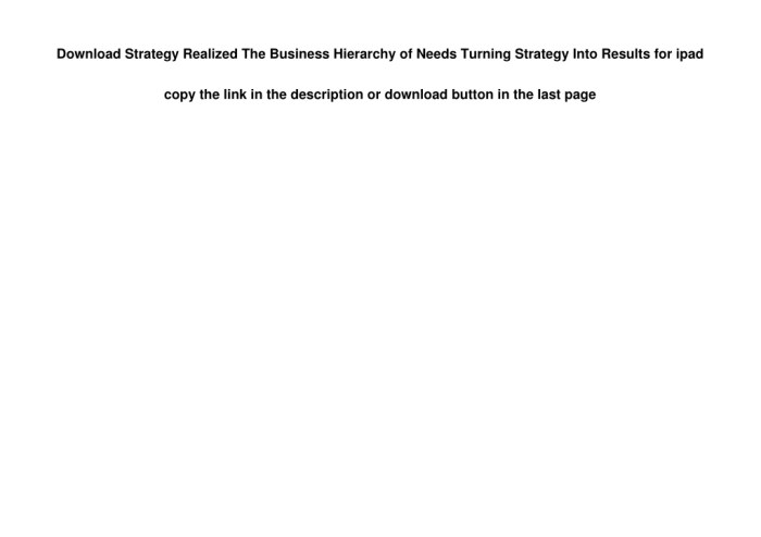 Strategy Realized - The Business Hierarchy of Needs® Turning Strategy Into Results