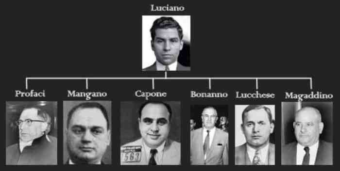 The Genovese Mafia Crime Family The Complete and Fascinating History of New York Crime Organization (Five Families)