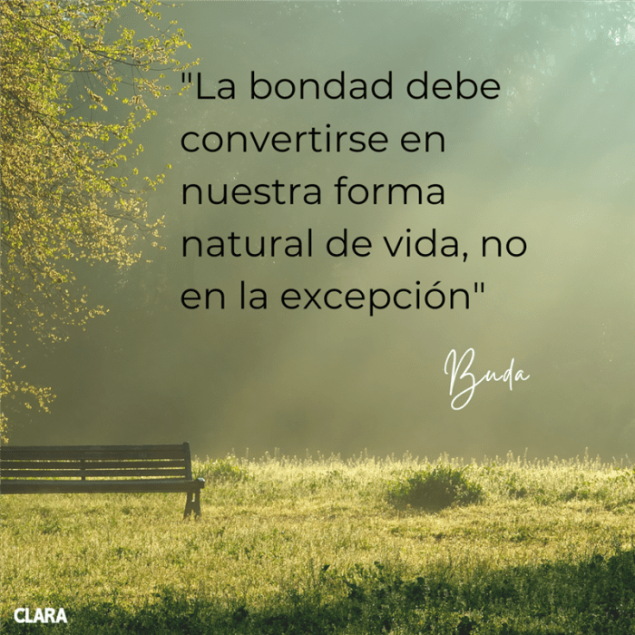 ... He Dicho!!! 'Reflexiones de Vida' (Spanish Edition)