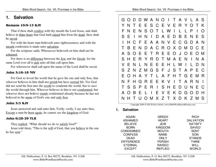 Bible Verse Word Search for Women 100 Faith Based Word Find Puzzles including Psalms and Positive Affirmations for Adults and Seniors.