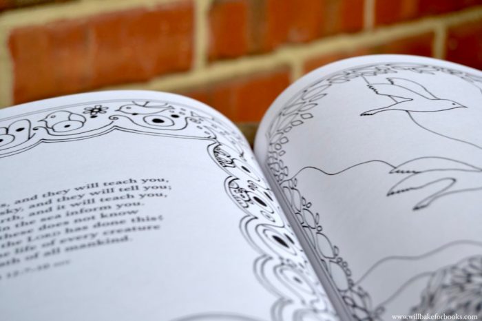 Make A Joyful Noise A large Print Devotional Coloring book