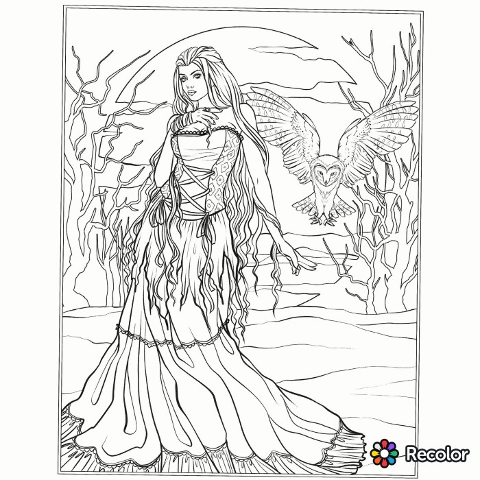 Ethereal Gothic A Coloring Book For Adults A Coloring Book For Adults Gothic Creepy Haunting Beautiful Illustrations To Color To Provide Stress Relief