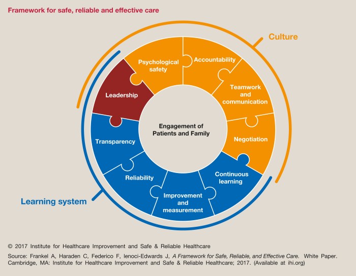 Change nhs model england shared purpose health management care quality theory leadership improvement models healthcare project programme team framework sustainable