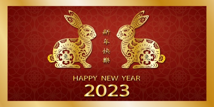 Year of The Rabbit 2023 Weekly Planner Red Cover 2023 2024 Weekly Planner Chinese New Year 2023 Calendar Organizer January 2023 to February 2024 8.5 x 11 Large Print