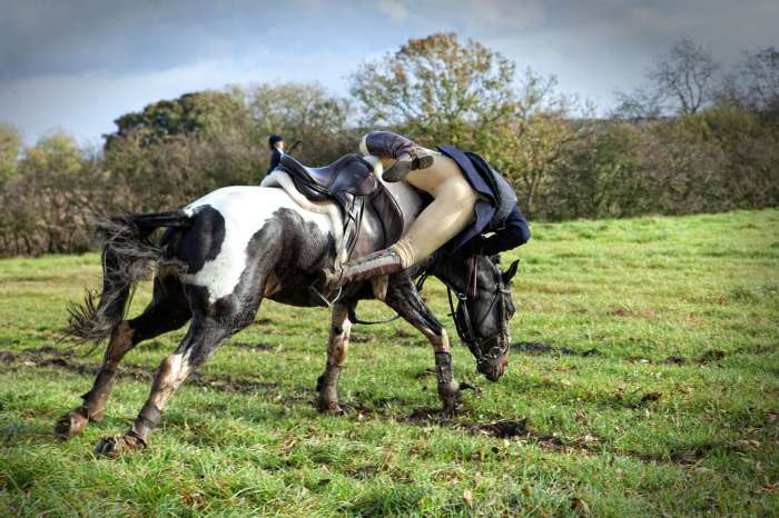 Falling horses riding cute shitpostcrusaders