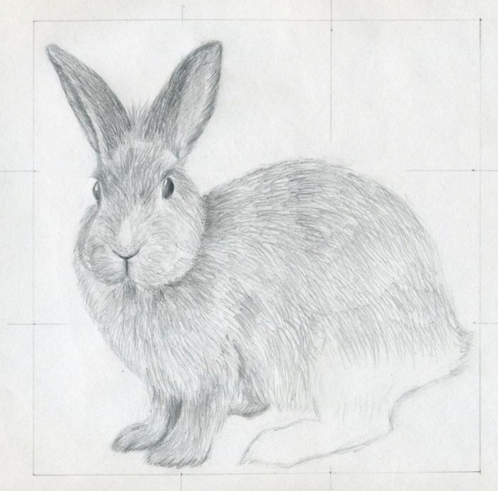 Bunny draw easy drawing