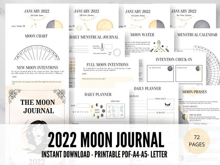 Lunar phases moon