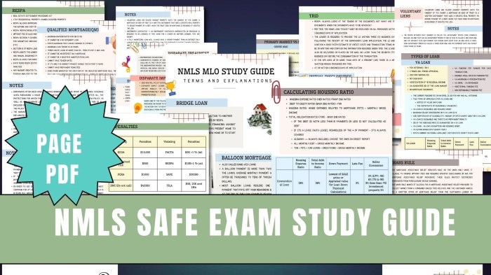 NMLS SAFE Act Study Guide 2023-2024 Pass the Mortgage Loan Originator Test - Fast and Easy! 420+ Practice Questions with Answers!