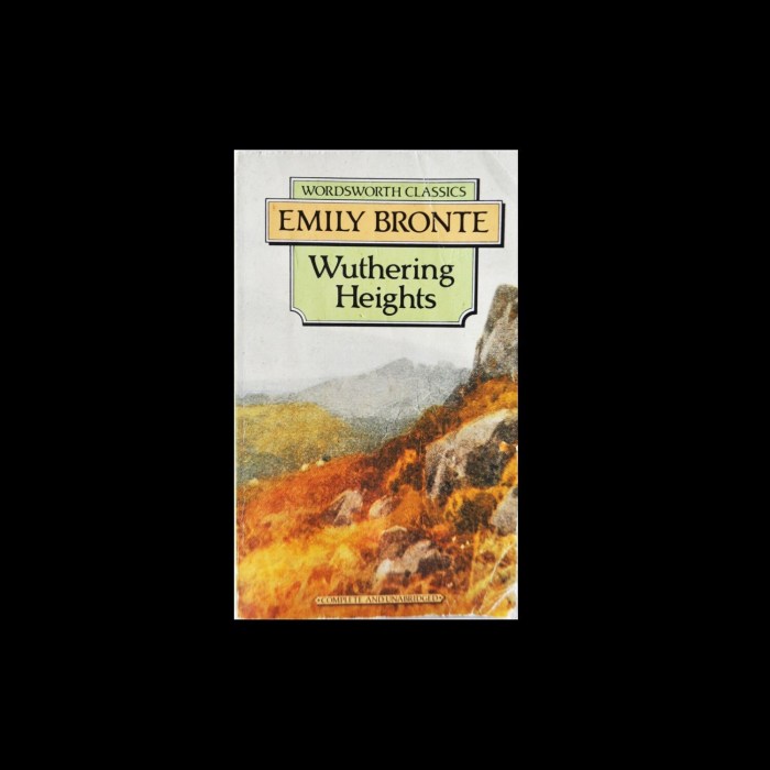 Wuthering Heights (Wordsworth Classics)