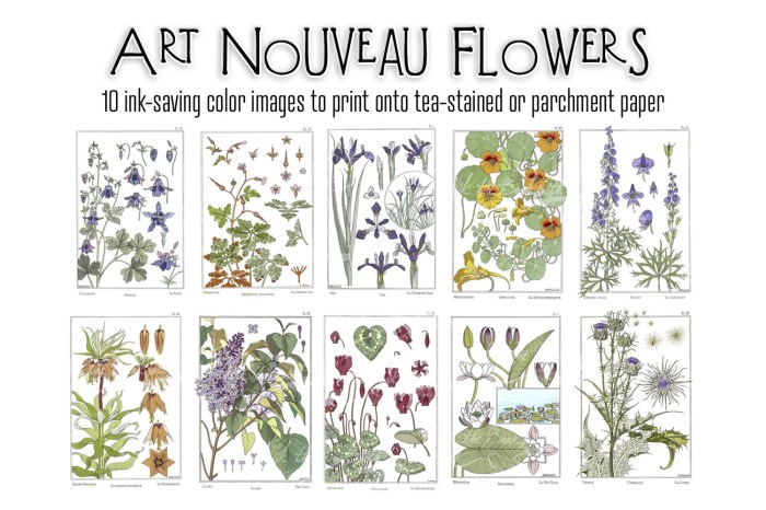 Art Nouveau Birth Month Flower Coloring Book for Adults Grayscale Coloring Book 48 Grayscale Coloring Pages (Art Nouveau Flower Gardens)