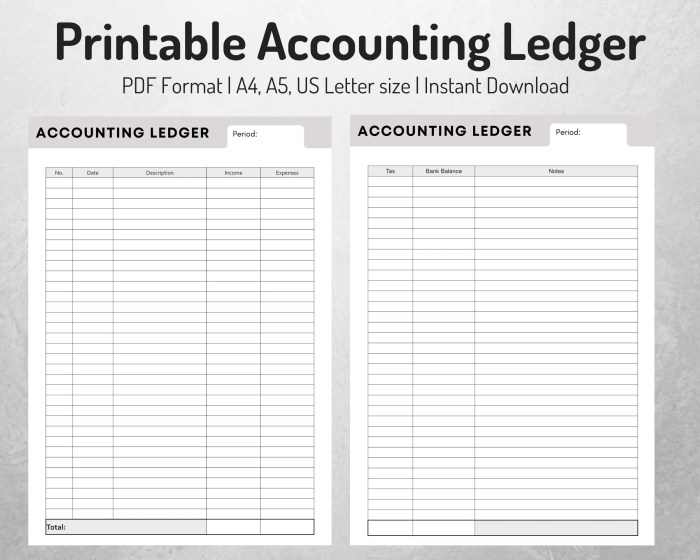 Accounting Ledger Book Simple Accounting Ledger for Bookkeeping Small Business and Personnel Financial Planning  Monthly Income and Expense Log Book 8.5 X 11