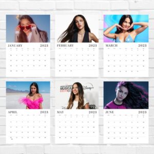 Olivia Rodrigo Calendar 2022 Offical Monthly January 2022 - December 2022 OFFICIAL Squared Monthly Calendar 12 Months  BONUS 4 Months 2021