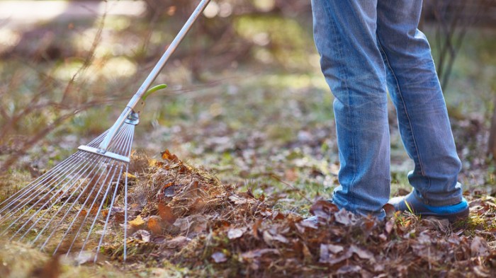 Raking leaves stock illustration