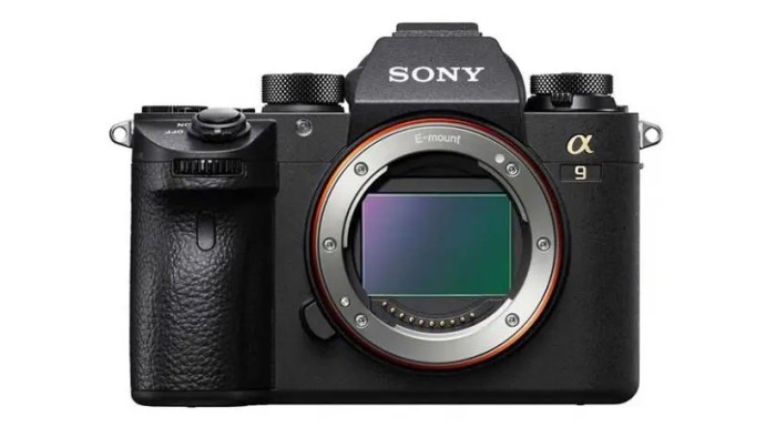 The Friedman Archives Guide to Sony's A7R V