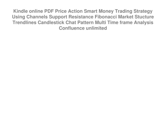 Price Action Trading Using Channels Support & Resistance Fibonacci Market Stucture Trendlines Reversal & Continuation Pattern Candlestick Chat Pattern Multi Time-frame Analysis & Confluence