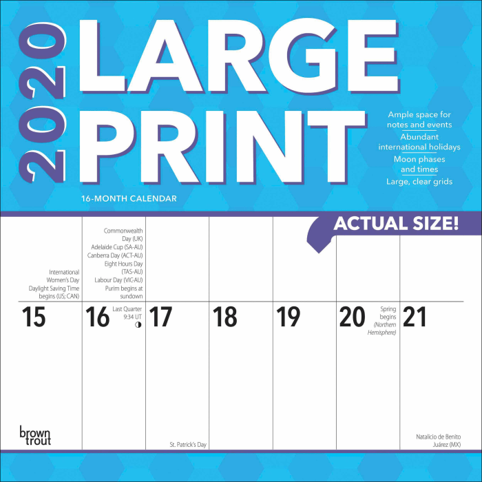 Bigger & Better 2023 Planner LARGE PRINT Weekly and Monthly Calendars for the Vision Impaired Low Vision and Seniors  Dogs