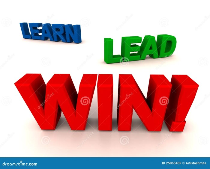 Learn How to Lead to Win 33 Powerful Stories and Leadership Lessons