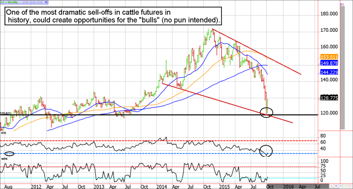 Back to the Futures Crashing Dirt Bikes Chasing Cows and Unraveling the Mystery of Commodity Futures Markets