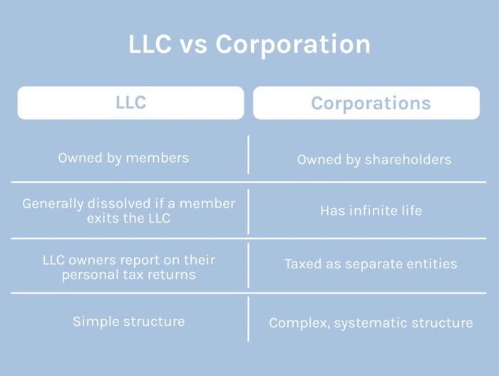 LLC & S-Corporation Beginner's Guide 2 in 1 Everything you Need to Know on How to Form Manage Maintain your LLC & S-Corp and Economize on Taxes as a Small Business Owner (Easy-To-Follow)