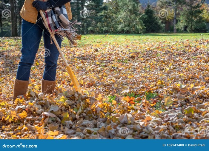 Raking blowing wind