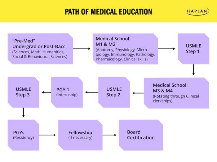 THE GAME PLAN A Woman’s Guide to Becoming a Doctor and Living a Life in Medicine