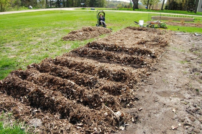 Soil Science For Regenerative Agriculture A Comprehensive Guide To Living Soil No-Till Gardening Composting And Natural Farming - Complete With A Step-By-Step Action Plan To Quickly Grow Soil