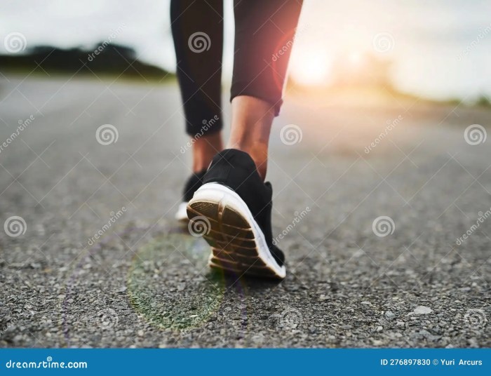 One Foot in Front of the Other A Guide to Moving Closer to Your Goals and Away from Your Failures One Step at a Time