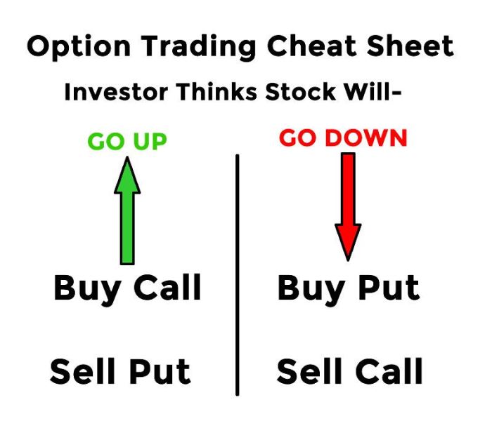 Options Trading A Beginner's Crash Course in Profitable Strategies