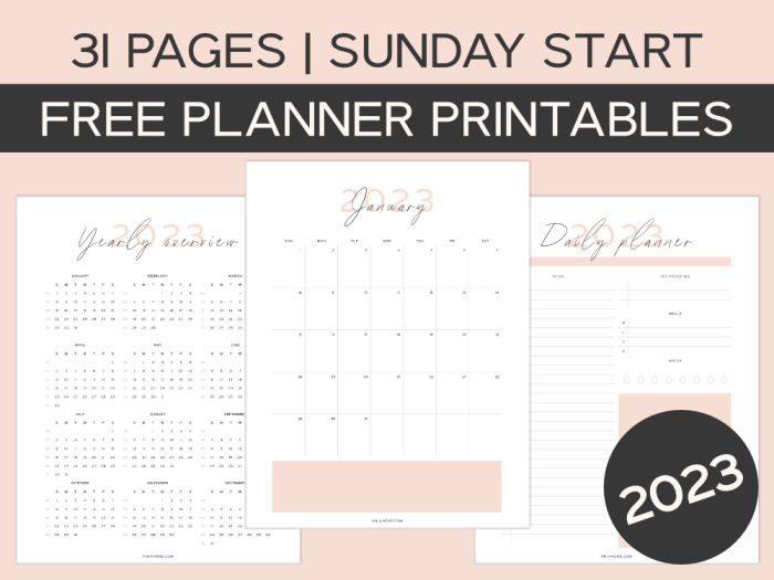 3-Year Planner 2023-2025 with a Starfish Beach Cover 6x9 Size 2023 2024 2025 Monthly 2-Page Calendars 36 Months Minimal Design