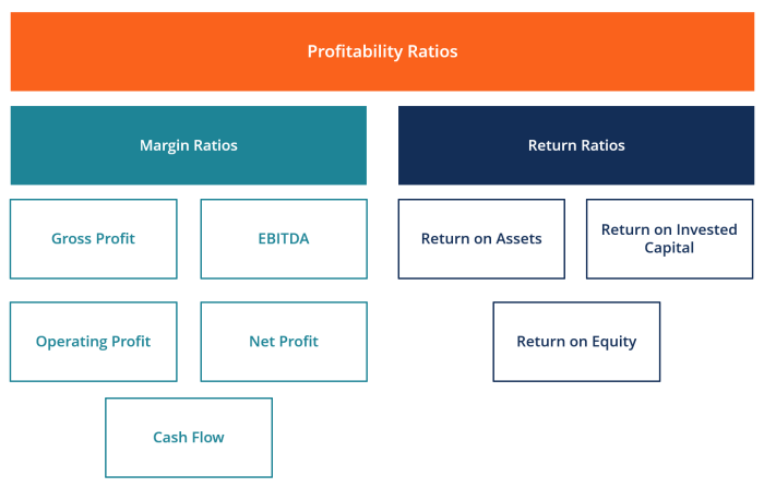 FUNDAMENTAL ANALYSIS ESSENTIALS Master the Art of Assessing a Company’s Value Reading Financial Statements Calculating Ratios and Setting a Buy Target