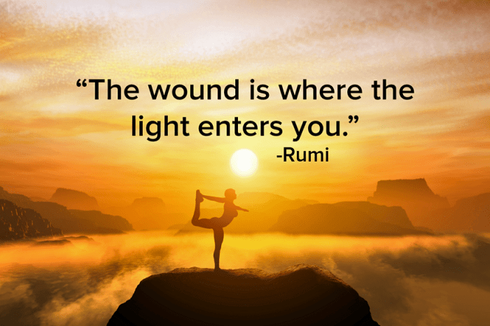 Enters wound rumi