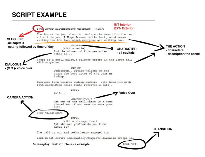 Screenplay script scripts screenwriting screenplays contest entering formatting