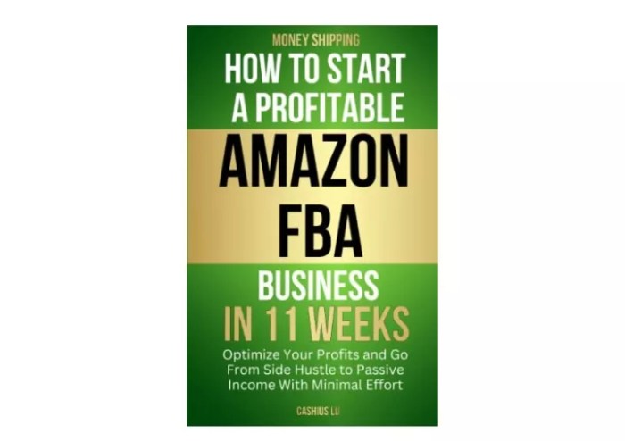 Amazon fba business infographic start own successful fulfillment rebels bit build infographics flowchart lot then articles related information choose here