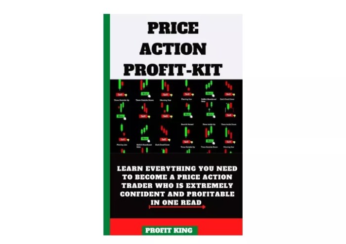 Price Action Trading Using Channels Support & Resistance Fibonacci Market Stucture Trendlines Reversal & Continuation Pattern Candlestick Chat Pattern Multi Time-frame Analysis & Confluence