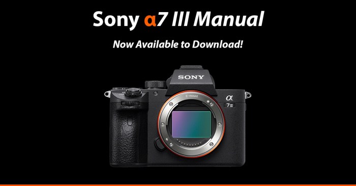 The Friedman Archives Guide to Sony's A7R V