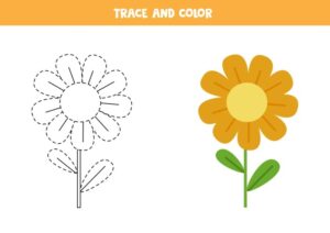 Tracing Flowers Tracing and Coloring Book With Abstract Floral Designs For Anxiety Relief and Mindfulness