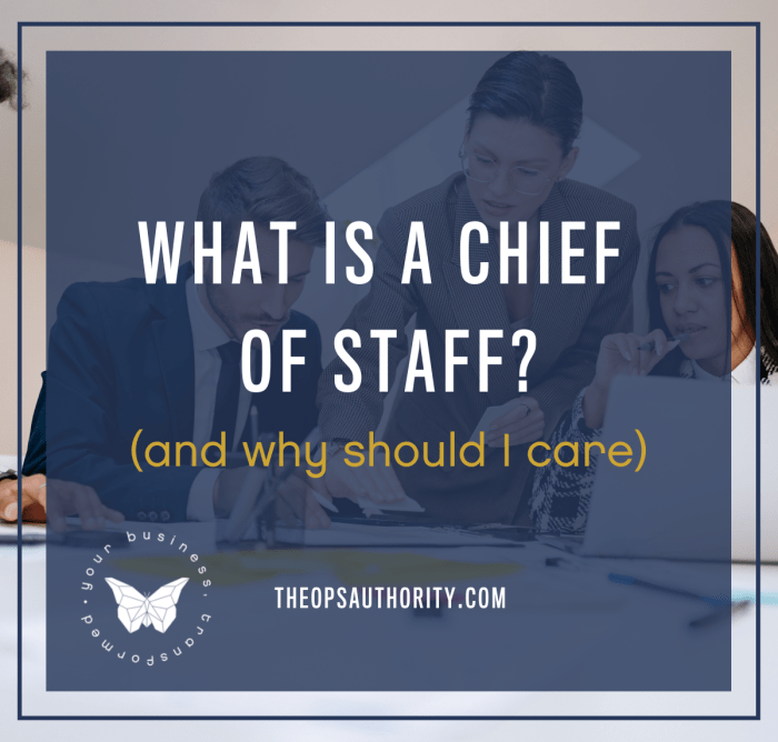 An Insider’s Perspective on the Chief of Staff Why You Need One and How to Be a Great One