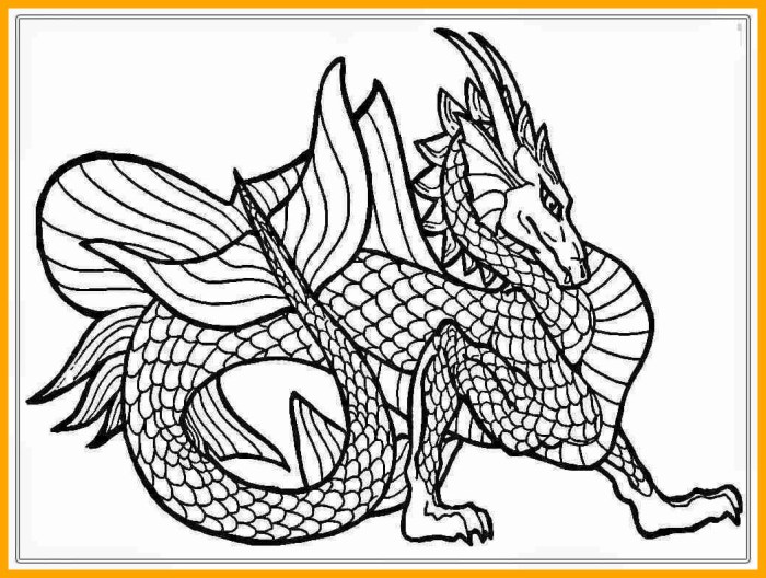 Dragon Coloring Book (Coloring Books for Adults)